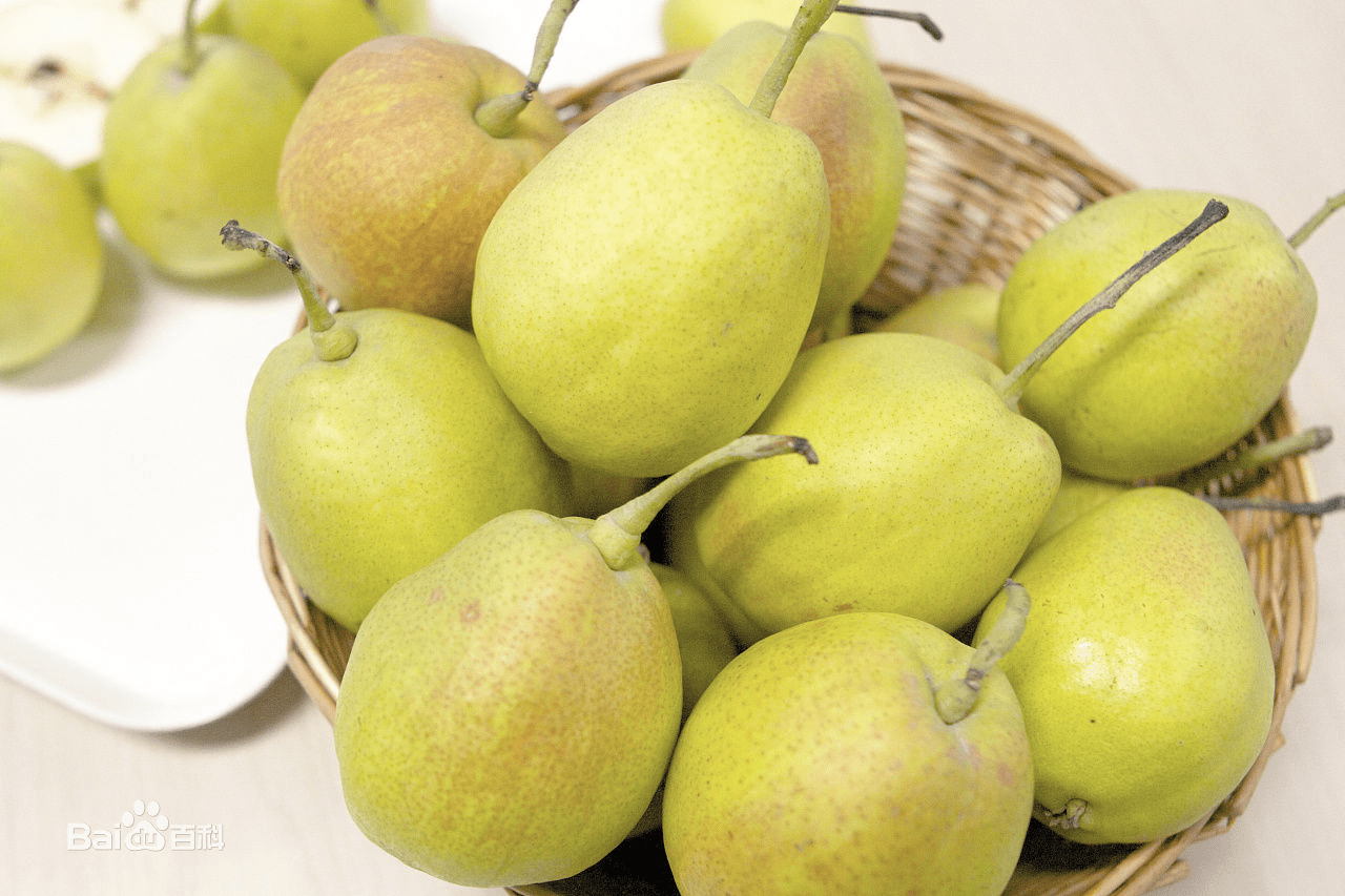 秋冬季節(jié)容易干咳,吃什么可以潤(rùn)喉? 秋冬季節(jié)容易干咳,吃什么可以潤(rùn)喉?