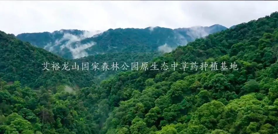 藥浴包什么牌子好? 藥浴包什么牌子好?