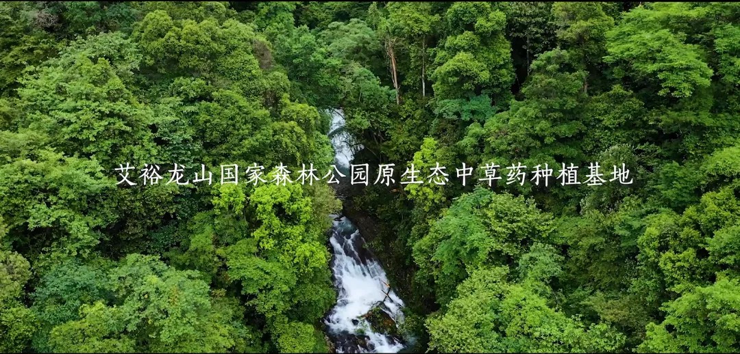 “裕我同行”丨選對產品，助攻保護力UP!