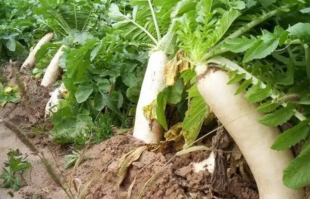 搜狗截圖22年11月30日0856_4.png 搜狗截圖22年11月30日0856_4.png