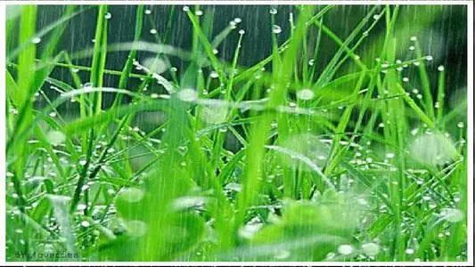 微信圖片_20220423065909.jpg 微信圖片_20220423065909.jpg