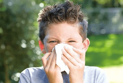 搜狗截圖23年02月28日1852_4.png 搜狗截圖23年02月28日1852_4.png