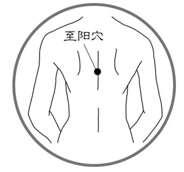 微信圖片_20230317133749.jpg 微信圖片_20230317133749.jpg