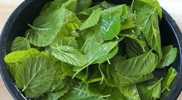 搜狗截圖23年03月16日0814_21.png 搜狗截圖23年03月16日0814_21.png