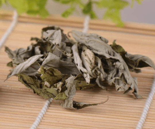 搜狗截圖23年03月09日0745_2.png 搜狗截圖23年03月09日0745_2.png