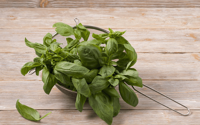 QQ截圖20230806081321.png QQ截圖20230806081321.png