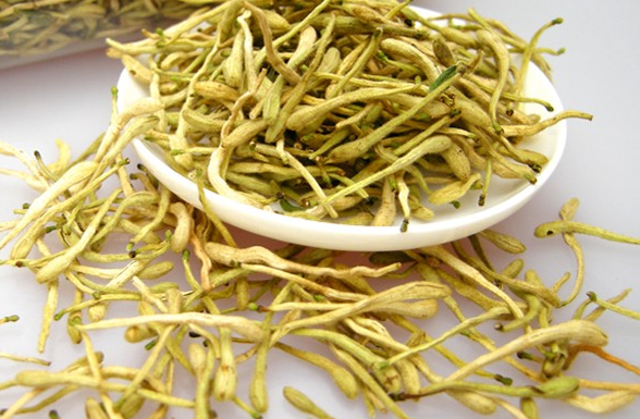 QQ20250122-094206.png QQ20250122-094206.png