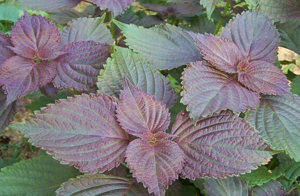 QQ20250107-145842.png QQ20250107-145842.png