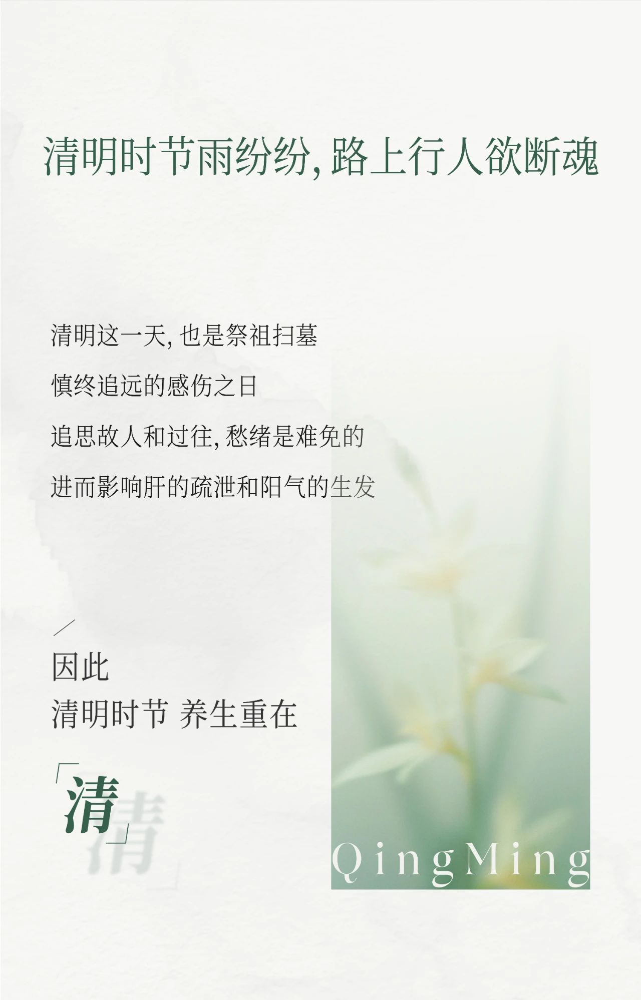 微信圖片_20250405085033.jpg